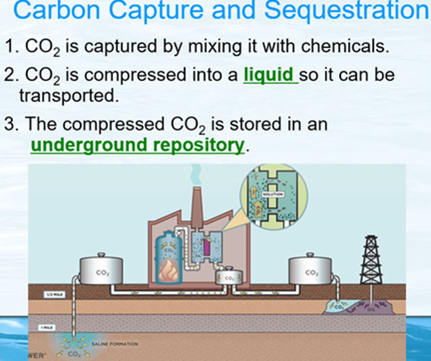 <p>the process of removing carbon from the atmosphere and storing it</p>