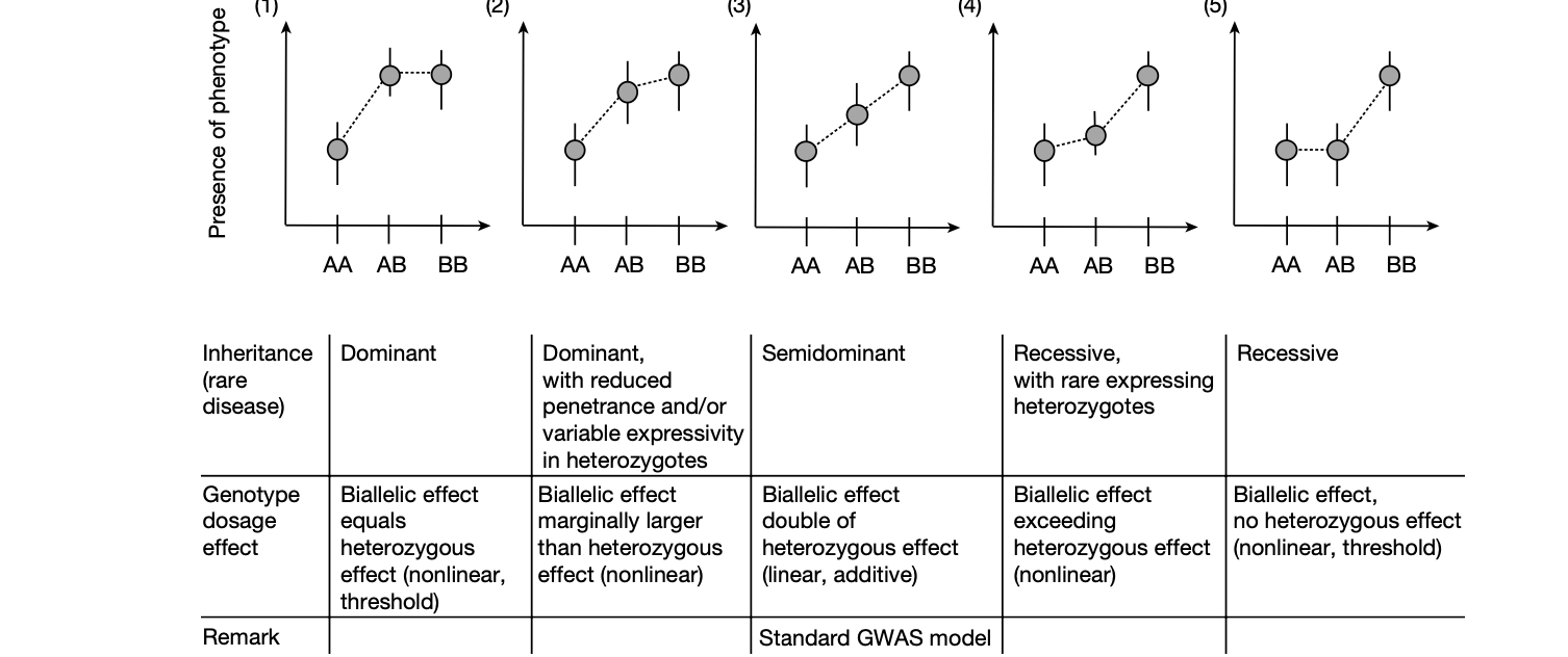 <p><span>Explain the significance of Figure 1 in the study. How do the five different inheritance models presented challenge traditional genetic assumptions?</span></p>