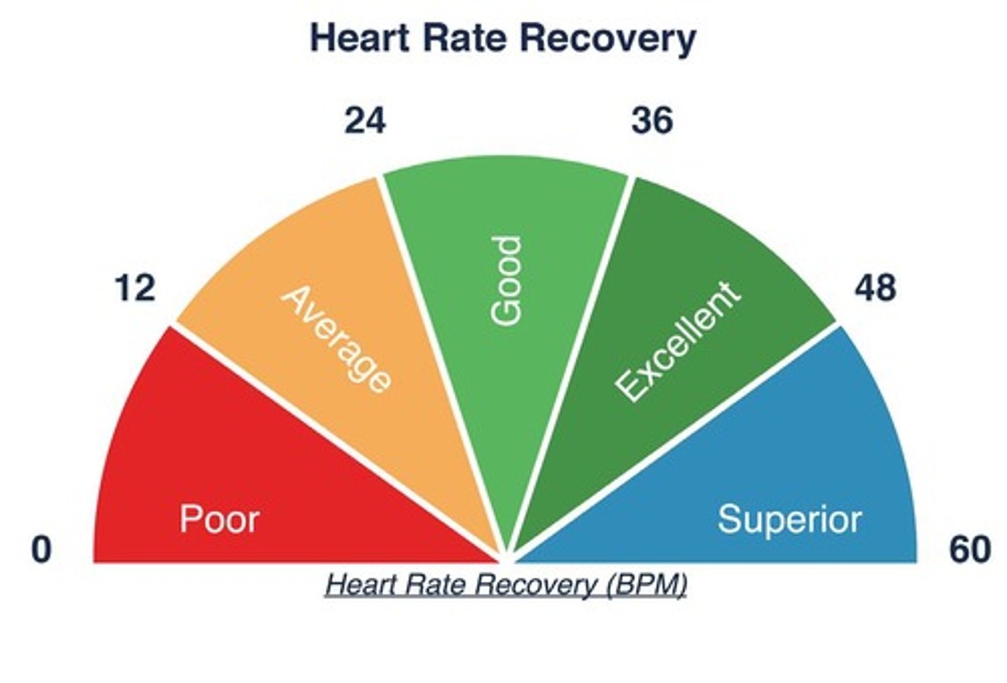 <p>Best measure of cardiovascular fitness.</p>