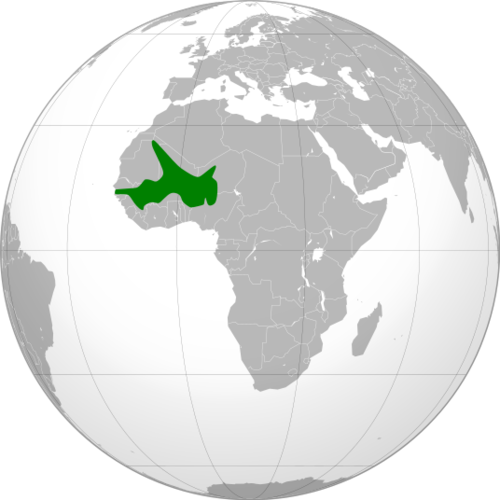 <p>One of the largest and most important empires of western Africa. Began developing around AD 500, starting as a small city-state headed by a clan or tribal chief. Gold production here became so prominent that the period between AD 500 and AD 1500 is called the Golden Age. This empire followed the Ghana and Mali empires.</p>