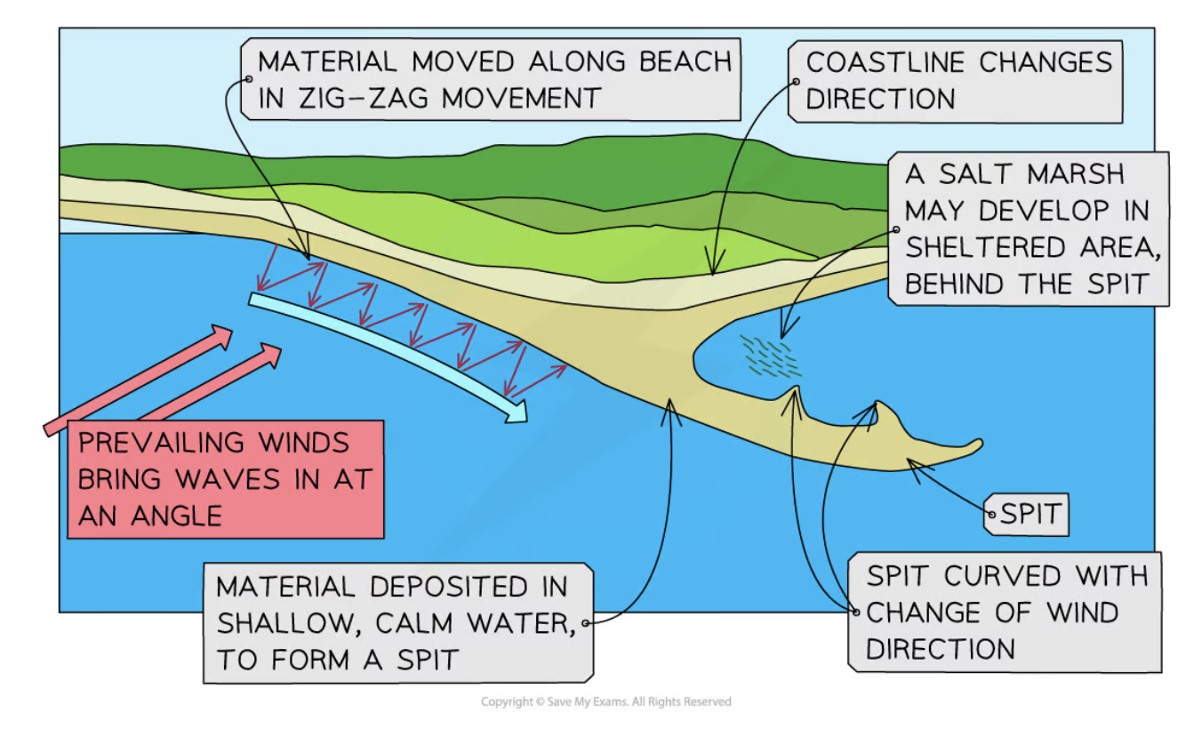 <ul><li><p>An extended stretch of sand that extends out to sea from the shore <span style="font-family: __bwModellica_c589ae, __bwModellica_Fallback_c589ae">→ </span>occurs when change in shape of coastline</p></li></ul><p>Stages of formation:</p><ul><li><p>Longshore drift is process that moves sediment</p></li><li><p>coastline changes direction <span style="font-family: __bwModellica_c589ae, __bwModellica_Fallback_c589ae">→ </span>a sheltered area (bay) allows for deposition of sediment</p></li><li><p>increased friction <span style="font-family: __bwModellica_c589ae, __bwModellica_Fallback_c589ae">→ </span>more deposition occurs </p></li><li><p>spit slowly builds up to sea level <span style="font-family: __bwModellica_c589ae, __bwModellica_Fallback_c589ae">→</span> extends in length</p></li><li><p>If the wind changes direction <span style="font-family: __bwModellica_c589ae, __bwModellica_Fallback_c589ae">→</span> the wave pattern alters <span style="font-family: __bwModellica_c589ae, __bwModellica_Fallback_c589ae">→</span> hooked end</p></li><li><p>area behind the spit becomes sheltered</p></li><li><p><span style="color: var(--bs-link-color)"><strong>Silts</strong></span> are deposited here to form salt marshes or mud flats</p></li></ul><p></p>