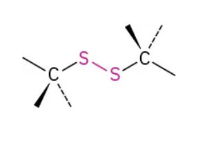 <p>Two sulfers bonded together</p>
