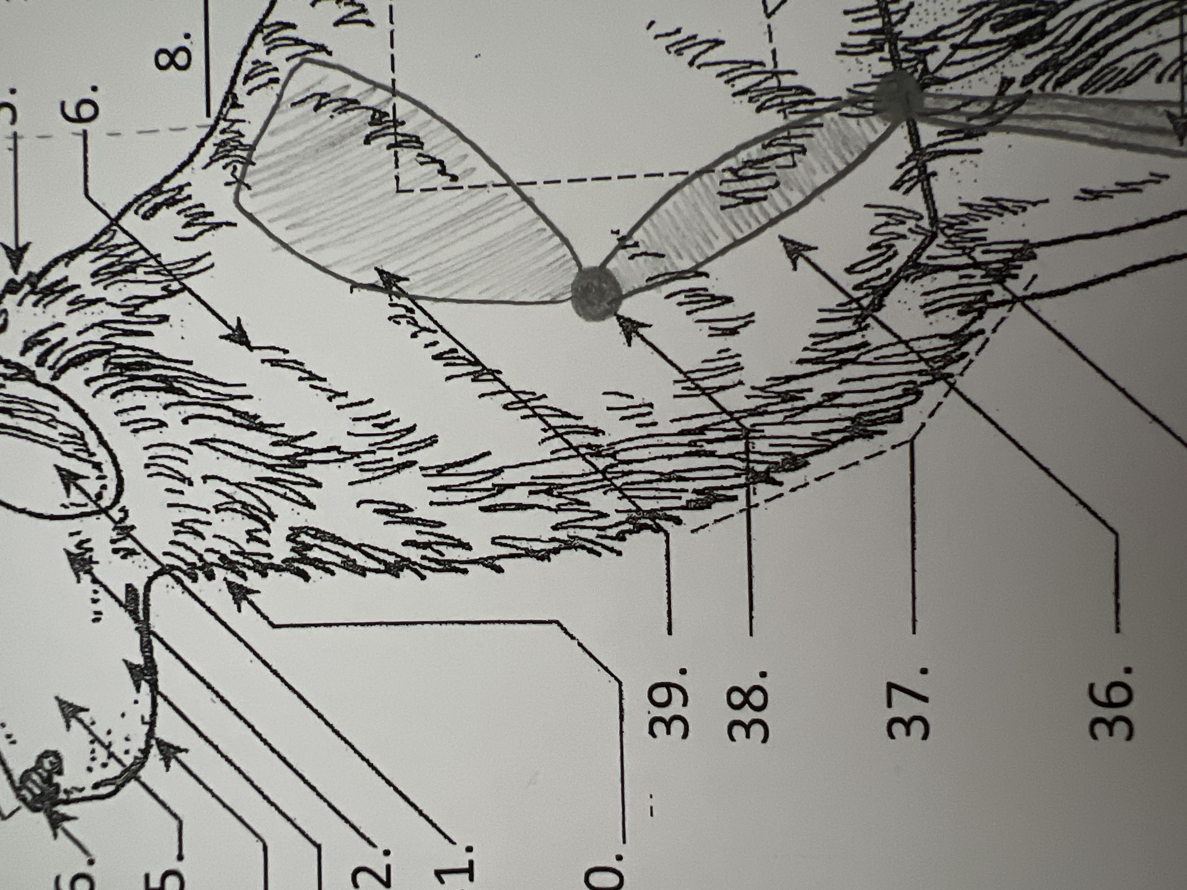 
38. \
