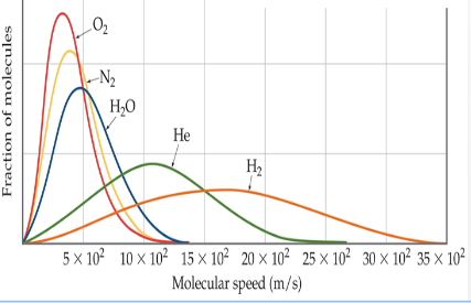 <p>the distribution of speeds for a gas at a certain temperature; higher <em>temperatures</em> increase <em>average particle speed</em>; high <em>molar mass</em>, average particle speed decreases; <em>average kinetic energy</em> increases as temperature increases because temperature increase increases particle speed that is directly proportional to kinetic energy; molar mass does not affect average kinetic energy because increasing molar mass decreases particle speed which cancel out so kinetic energy stays the same</p>