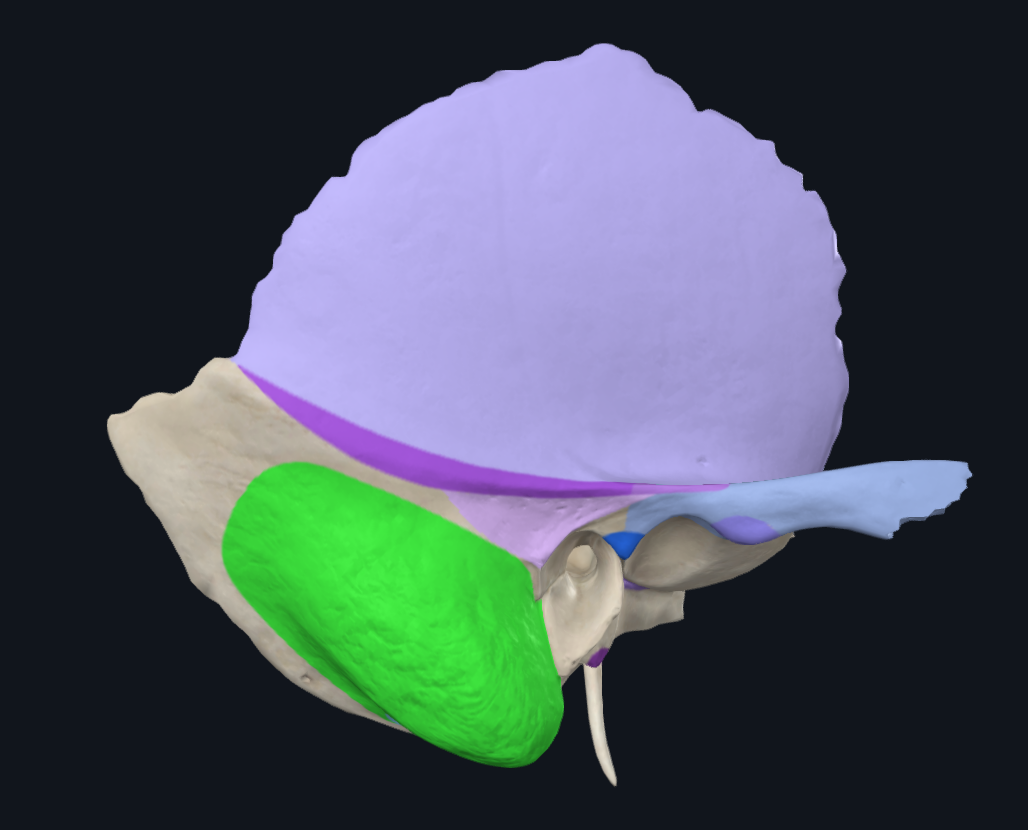 <p>What is highlighted in green</p>