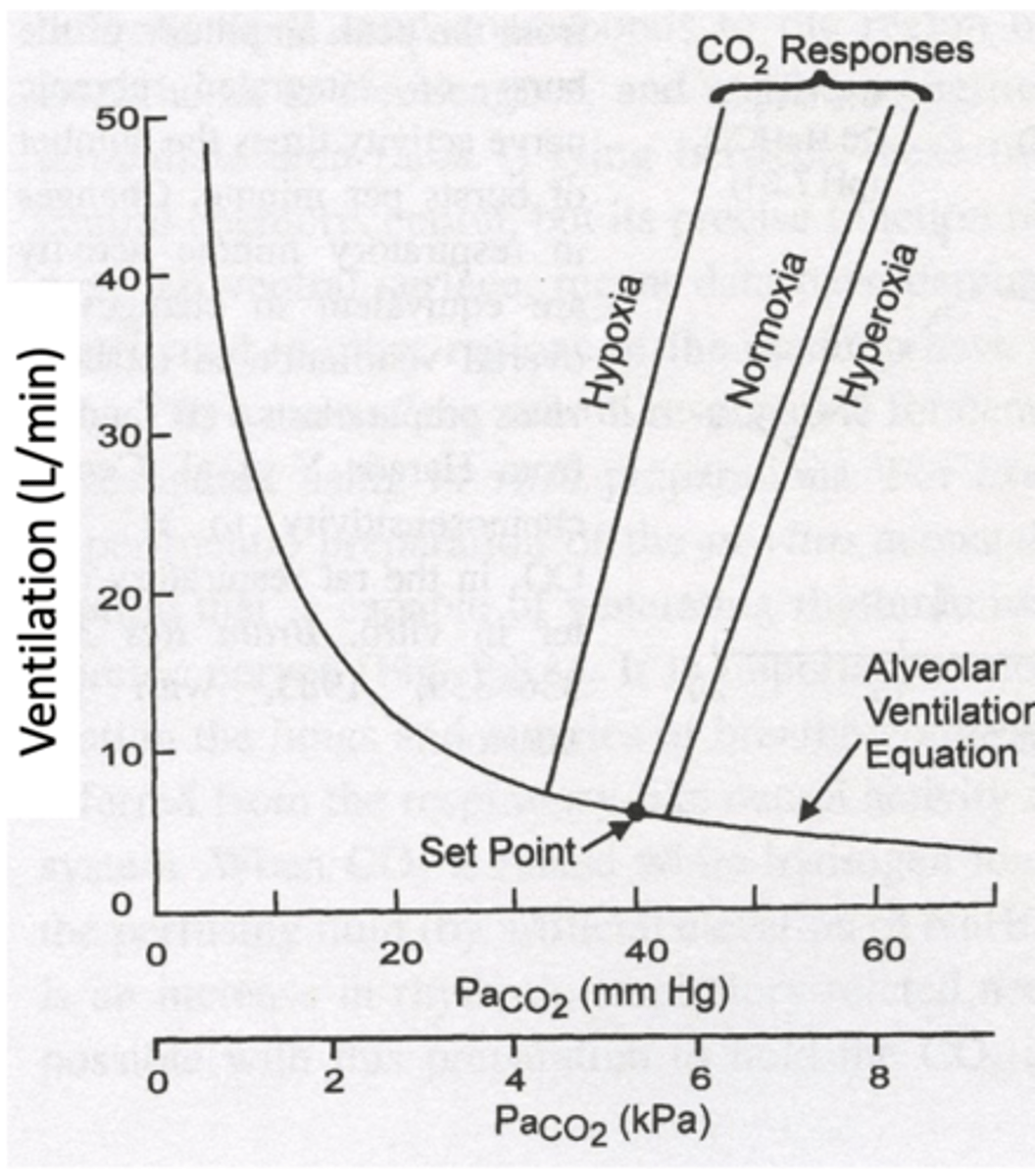 <p>Minimum CO2 level for increased breathing (~40 mmHg).</p><p>- remember everyone is slightly different</p><p>- threshold decreases in a hypoxic enviroment</p><p>- threshold increases in a hyperoxic enviroment</p>