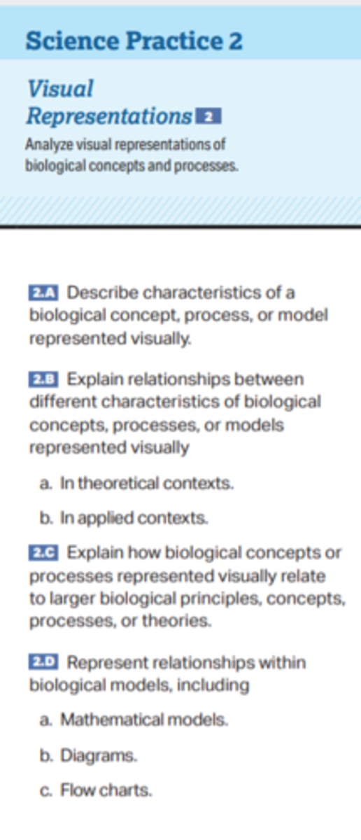 <p>Describe characteristics of a biological concept, process, or model represented visually.</p>