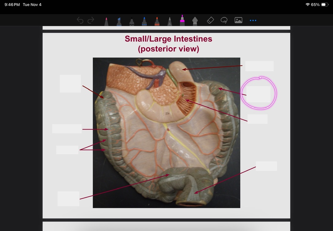 <p>What is this?</p>