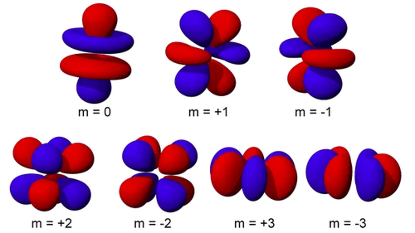 <p>elements in the 2 rows below the main periodic table have electrons occupying these; has 7 orbitals</p>
