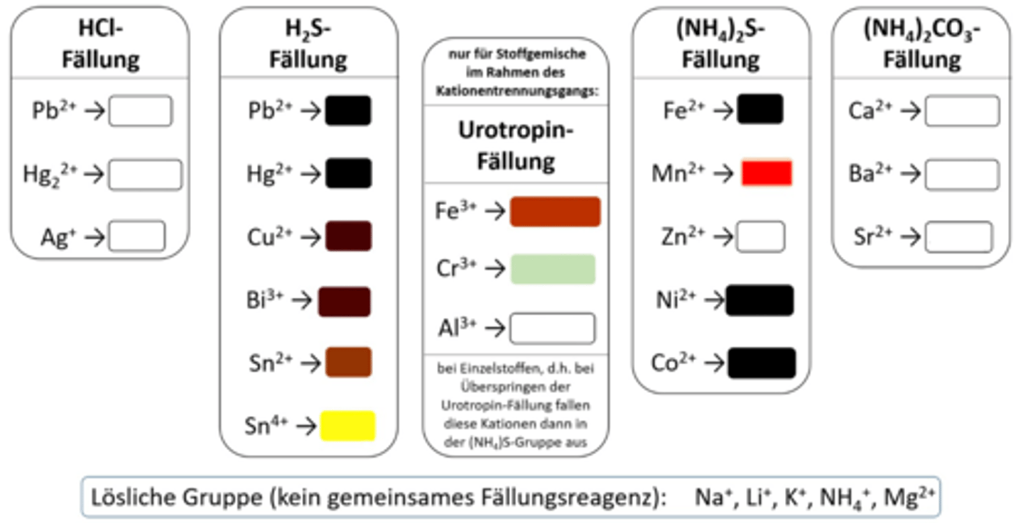 <p>Mn²⁺ NS</p>