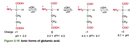 <p>A more complicated example is provided by glutamic acid. As shown in Figures 3.16 and 3.17, in glutamic acid the -COOH pKa2.2, the -COOH pKa4.3, and the  -NH3 pKa9.7. The zwitterion form is generated after 1.0 equiv of base is added to (page 84). </p>