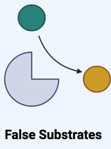 <ul><li><p>Abnormal metabolite produced</p></li></ul><p></p>