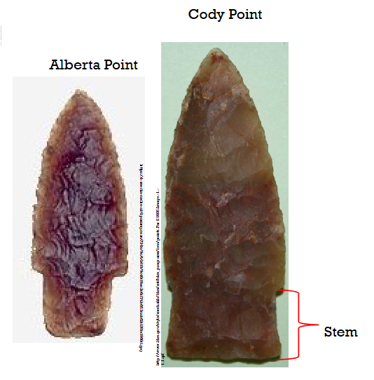 <ul><li><p><strong>9,500-8,500 years ago.</strong></p></li></ul><ul><li><p>Climate became warmer and drier.</p></li><li><p>Evidence of specialized <strong>bison hunters.</strong></p></li><li><p>Cody &amp; Alberta points: stemmed, used for efficient hunting.</p></li></ul><p></p>