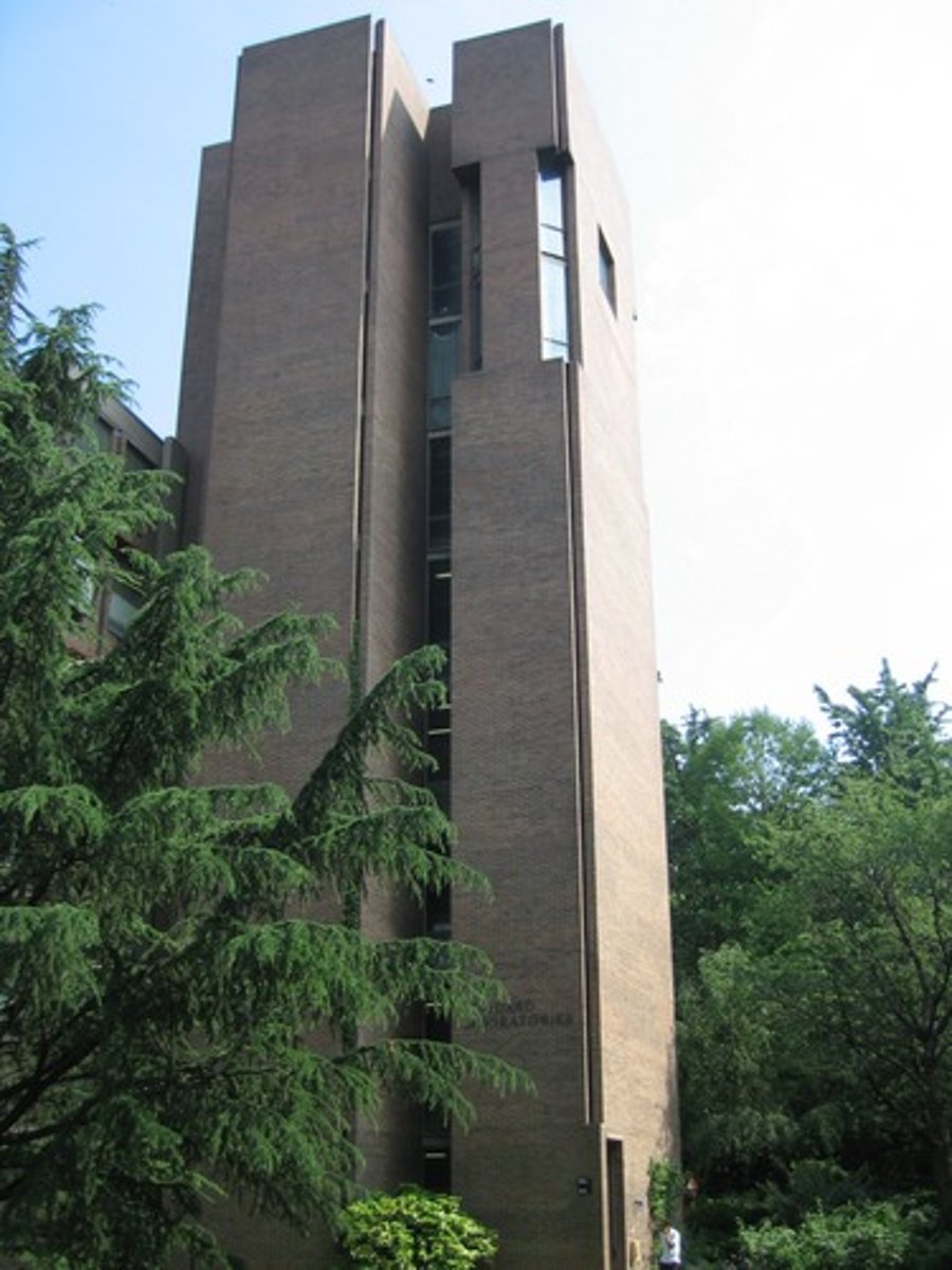 <p>RAAMOPENINGEN</p><p>- hoek v gebouw = plek v stabiliteit v muren -> deze plek is vervangen door raam</p><p>- gevel is niet dragend, enkel mogelijk door gebruik v skeletstructuur achter raam</p><p>- de wanden zijn verbonden door diagonale hoekvenster, als "scharnier"</p><p>- in spleet ook smalle raampjes</p>
