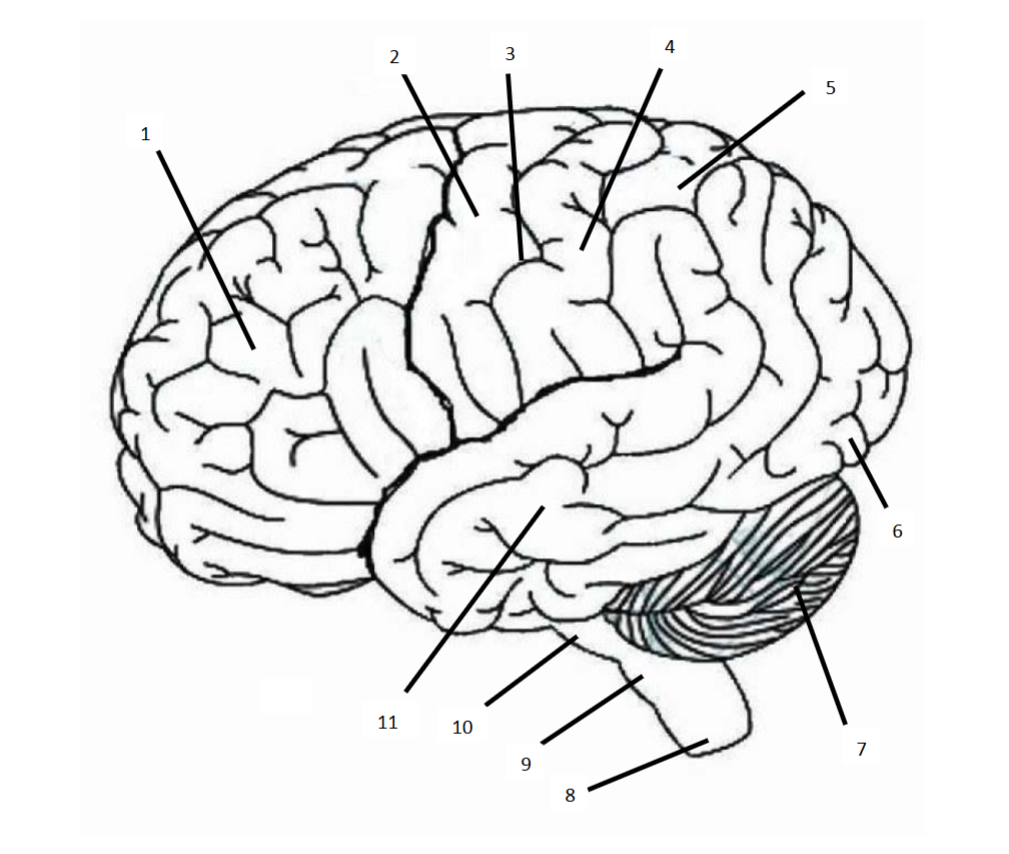 <p>10</p>