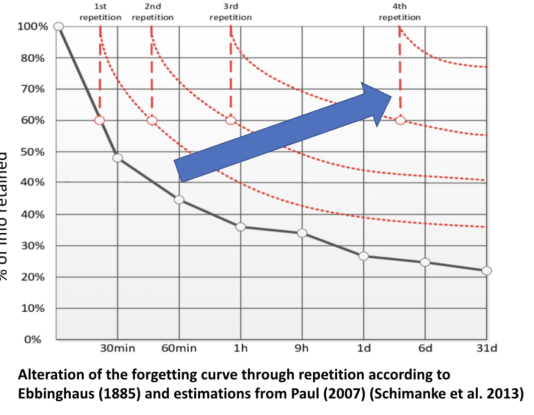 <ul><li><p><span><span>How do you ”flatten the curve”?</span></span></p></li><li><p><span><span>Study, study and study!</span></span></p></li><li><p><span><span>Mechanisms underlying forgetting?</span></span></p><ul><li><p><span><span>Interference vs. decay (as in STM)</span></span></p></li></ul></li></ul><p></p>