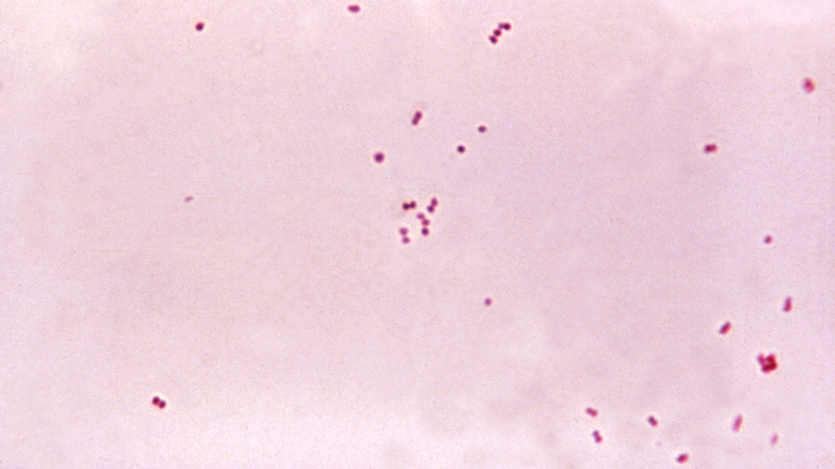 <p>What is this?</p>