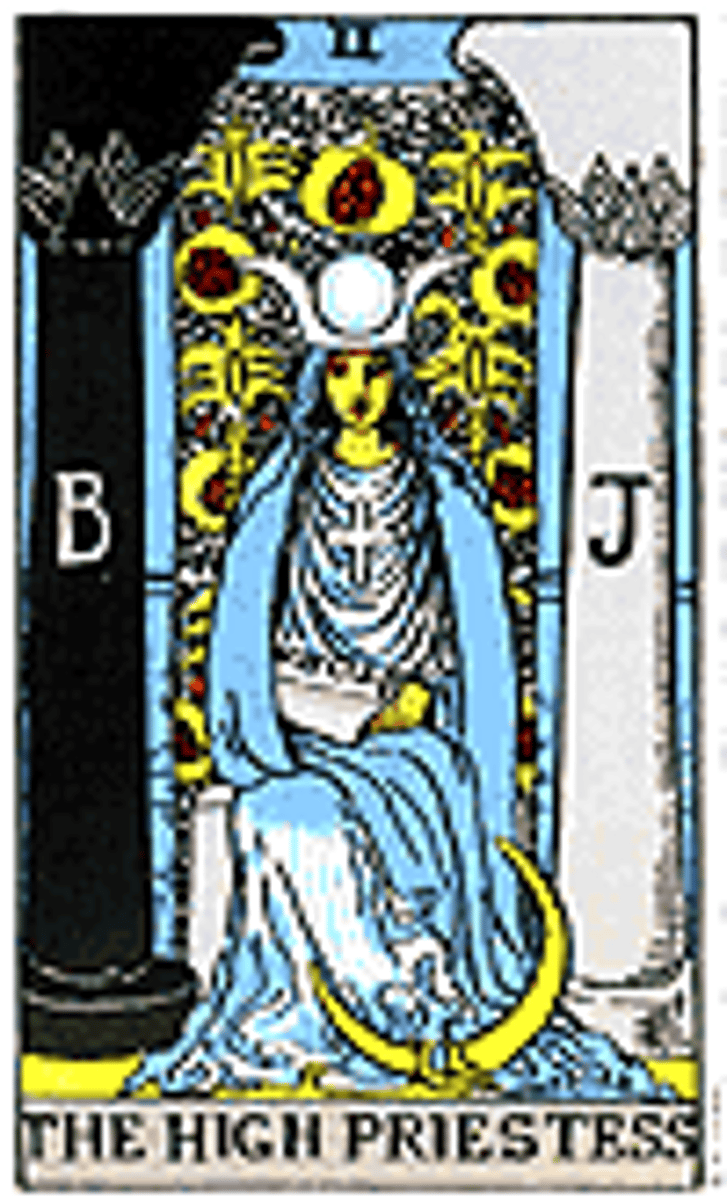 <p>Intuition, secrets to be revealed, unexplored potential.</p>