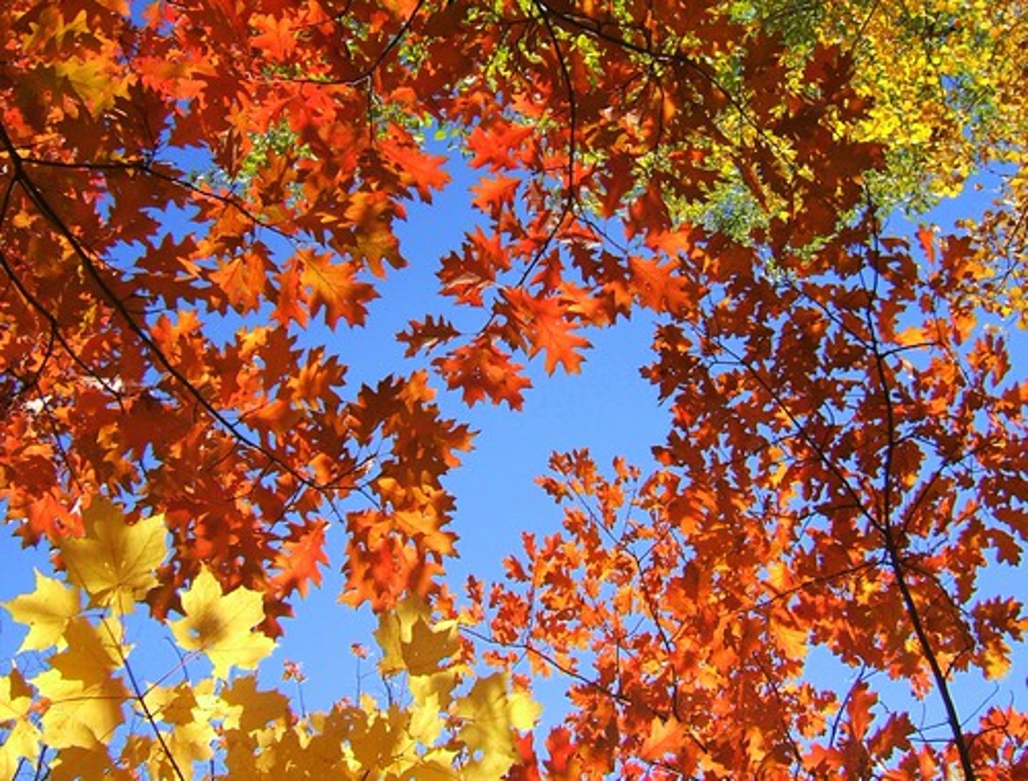 <p>September</p>