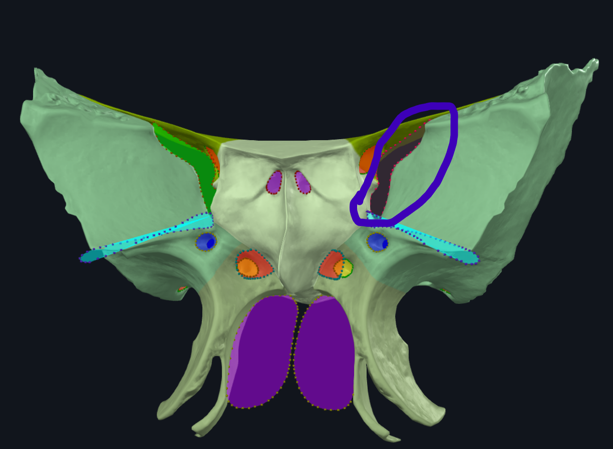 <p>What is circled</p>