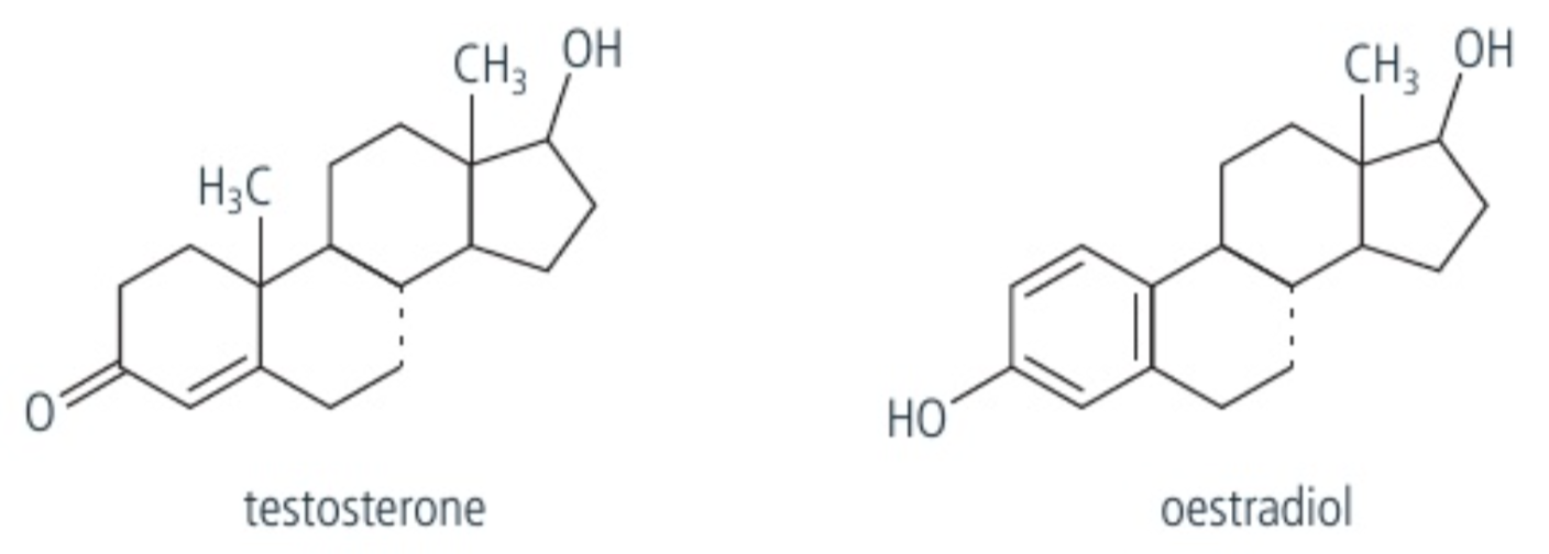 <p>hormone that is made from the lipid cholesterol, which is primarily a hydrocarbon molecule.</p><p>Two types of steroids:</p><blockquote><p><strong>Oestradiol </strong></p><p><strong>Testosterone </strong></p></blockquote><p>these two steroids are produced by a gonadal tissue, and are <strong>involved in the development of primary and secondary sex characteristics in puberty</strong>. As they are lipid molecules, they can easily pass through the plasma &amp; nuclear membrane and direct the process of transcription, leading to production of mRNA molecules.</p>