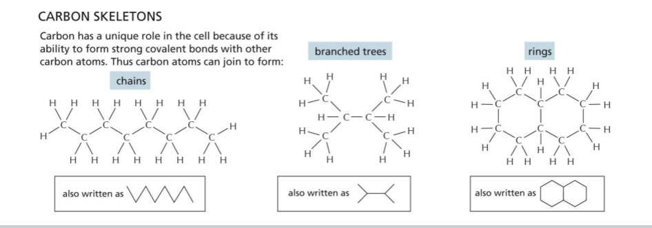 <ul><li><p>Biomolecules centred around Carbon → carbon binds up to 4 other atoms</p></li><li><p>Long chains of carbon atoms used to construct biological molecules</p></li><li><p>Linear, branched or cyclic</p></li><li><p>Simplest group of biological molecules → hydrocarbons (C-H)</p></li><li><p>Certain hydrogens is often replaced by “functional groups”</p></li></ul><p></p>