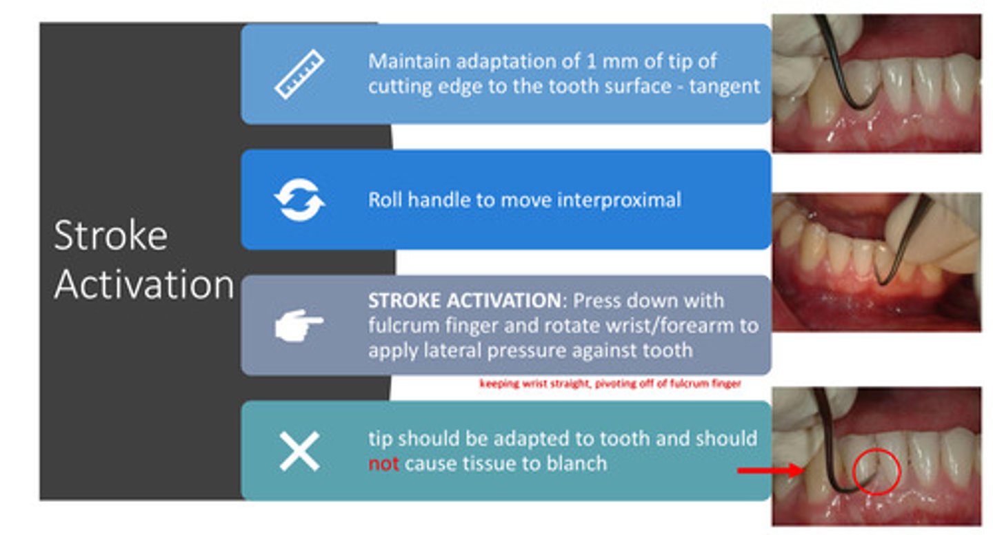 <p>press down with fulcrum finger and rotate wrist/forearm to apply lateral pressure against the tooth — keeping the wrist straight and pivoting off the fulcrum finger</p>