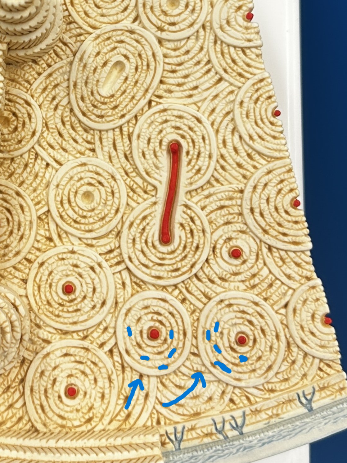 <p>(The holes in-between layers)</p>