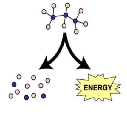 <p>Catabolic Reaction</p>