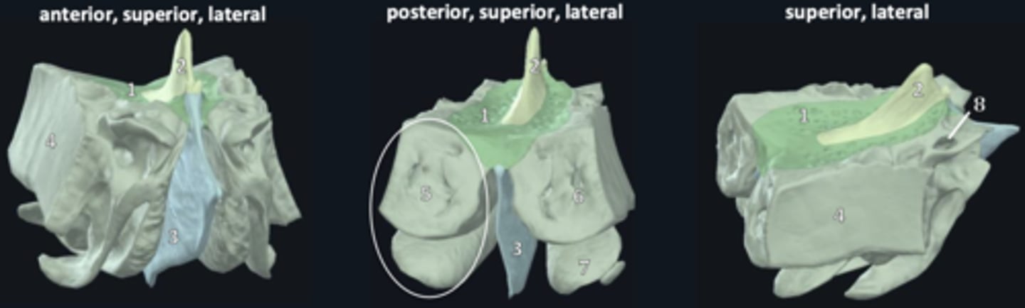 <p>6.</p>