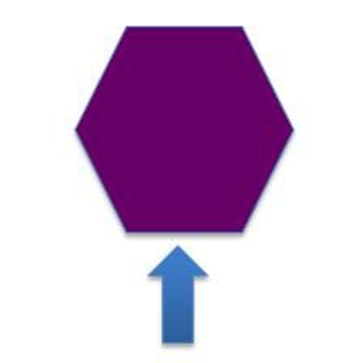 <p>n., adj. /'bɔtəm/ phần dưới cùng, thấp nhất; cuối, cuối cùng</p>