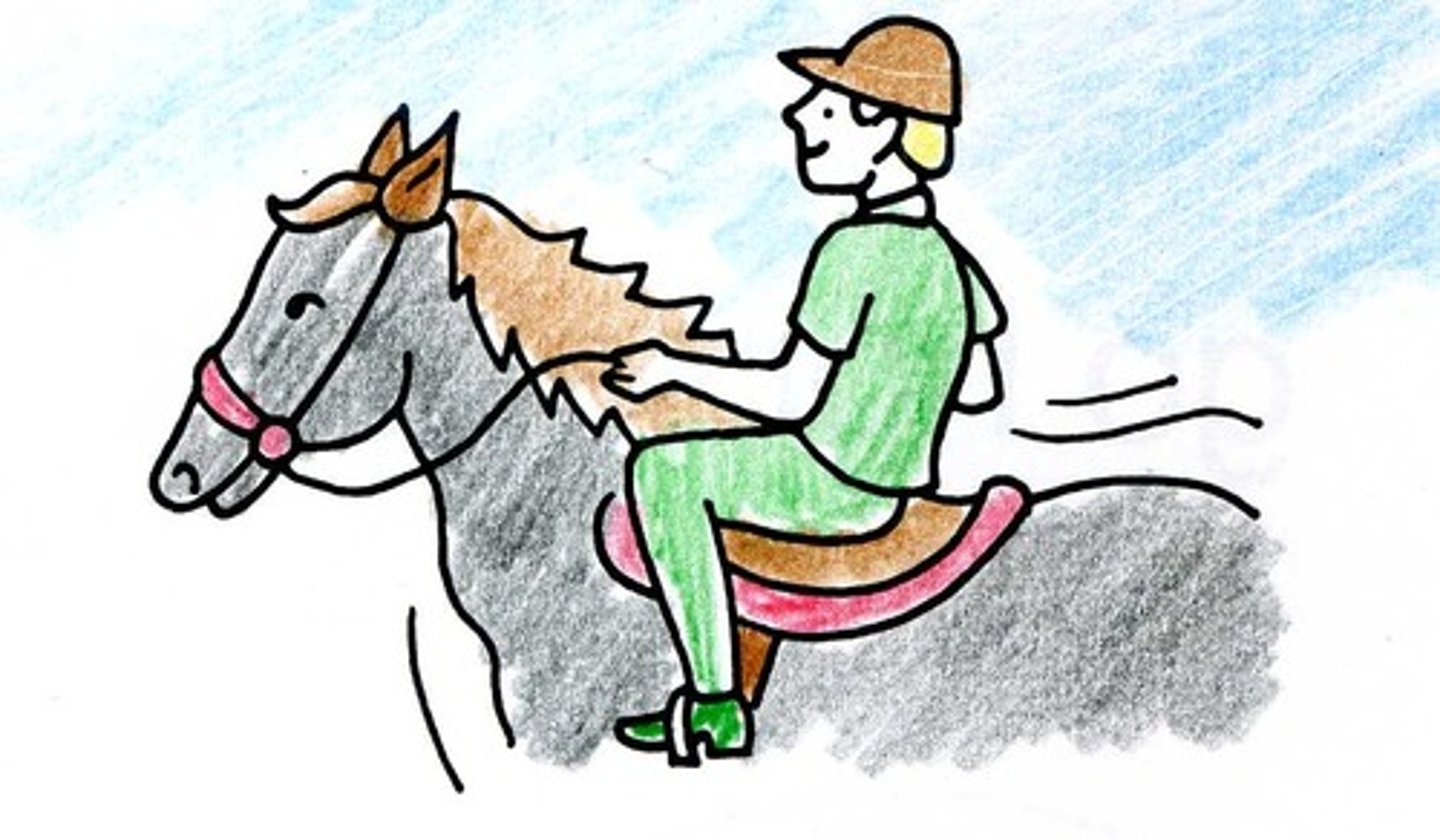 <p>to go horseback riding</p>
