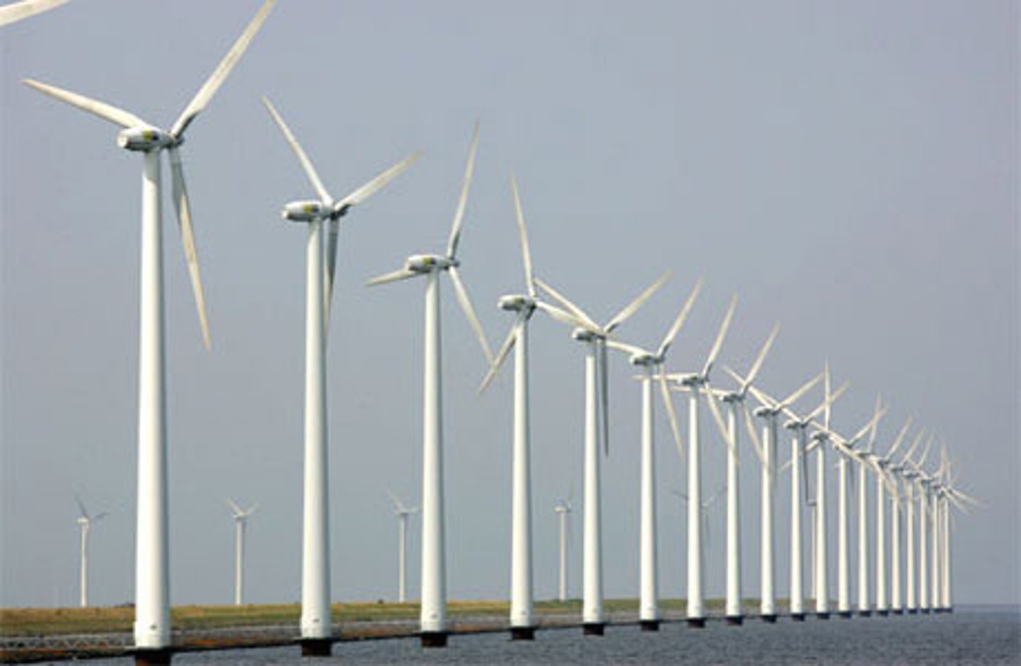 <p>area where many windmills use wind to generate electricity</p>