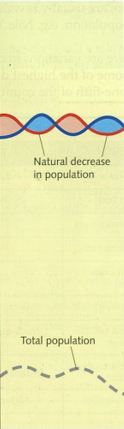 <ul><li><p>Low population</p></li><li><p>No growth</p></li><li><p>High birth rate-no knowledge of family planning</p></li><li><p>High death rate-High infant and child mortality.</p></li><li><p>poor access to medical care</p></li><li><p>Low life expectancy- poor nutrition and disease.</p></li></ul>