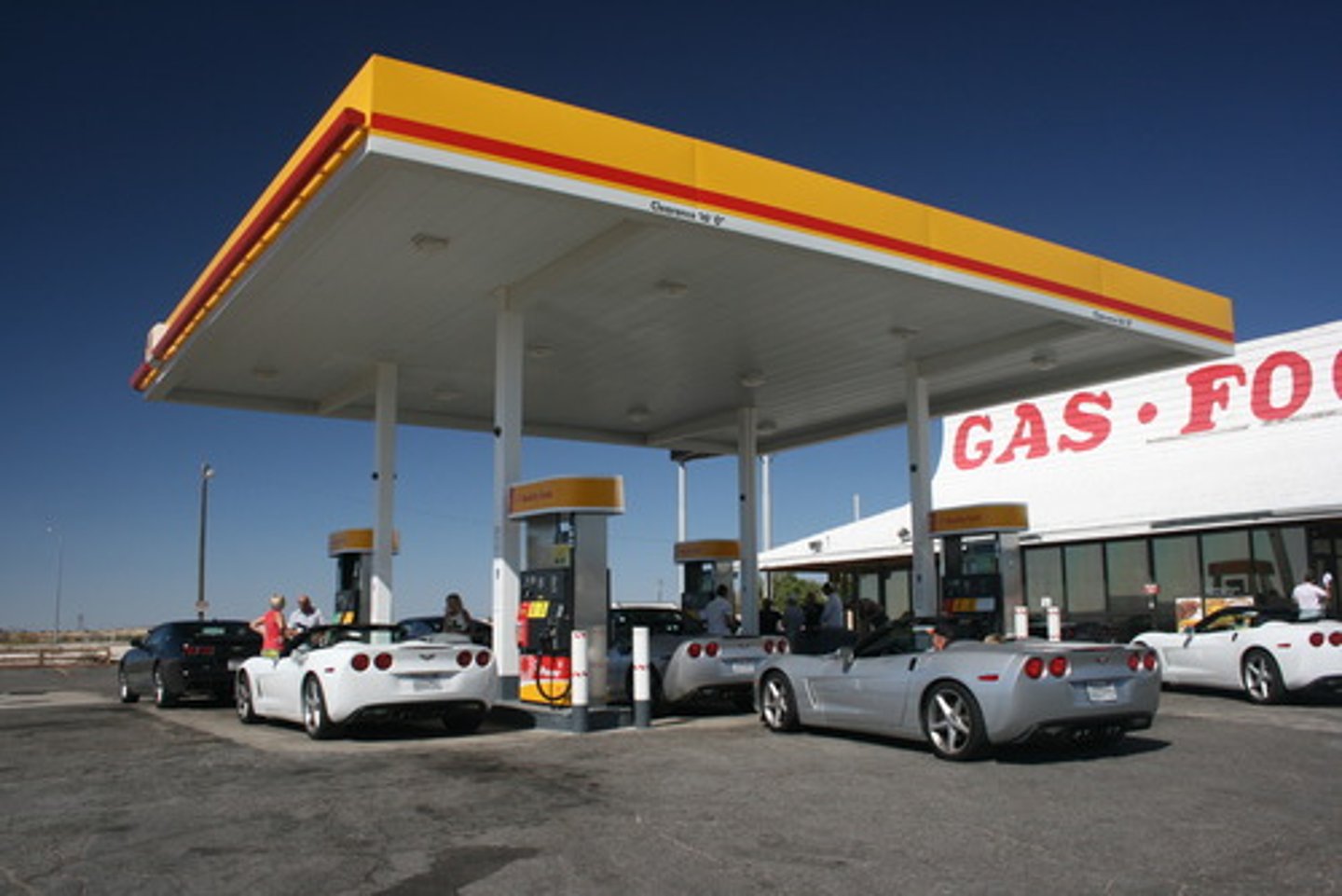 <p>v. làm đầy, bổ sung</p><p>= refill</p><p>( re- = lại</p><p>plenish (từ "plenus" trong Latin) = đầy )</p><p>ex: Taking breaks is essential for replenishing mental energy.</p>