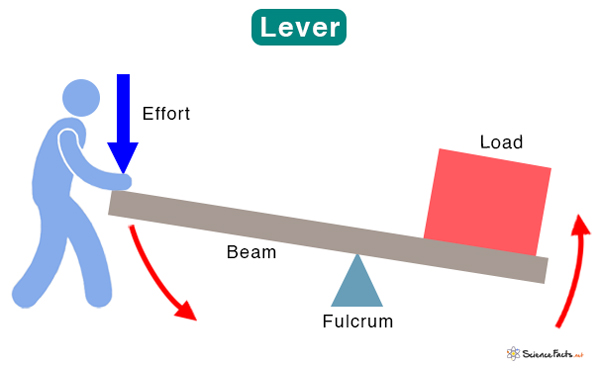 <p>Levers and Torque (moment)</p>