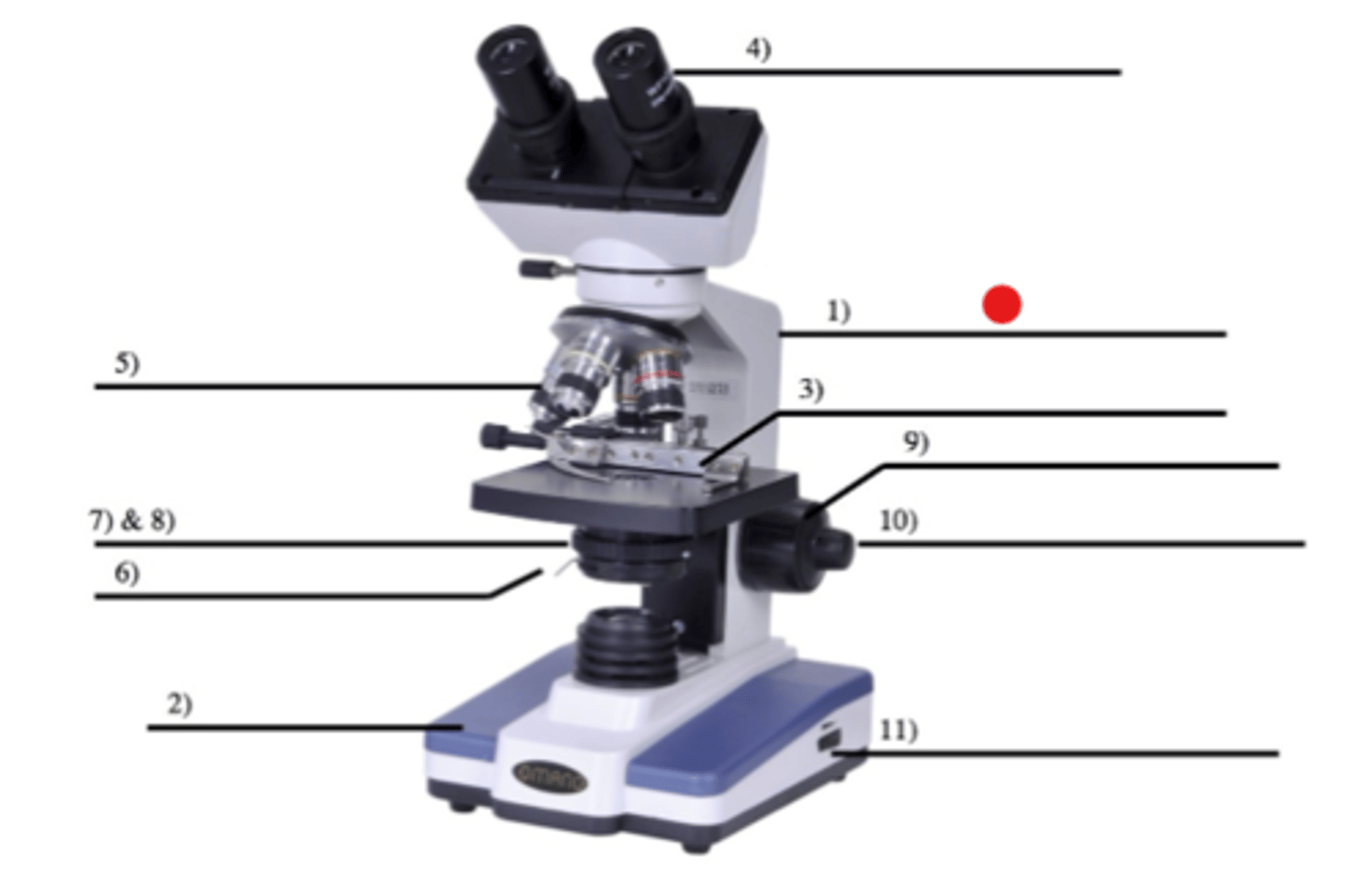 <p>1</p><p>- Used to carry the microscope (grasping)</p>