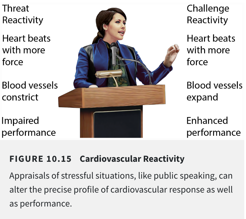 <p>sympathetic arousal which leads the heart to beat faster, blood vessels dilate</p>