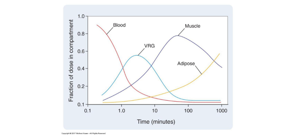 <p>explain this chart. </p><p>what is VRG? </p>