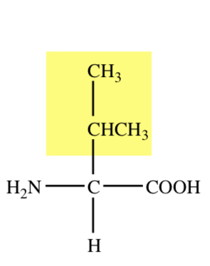 ISOPROPYL R GROUP