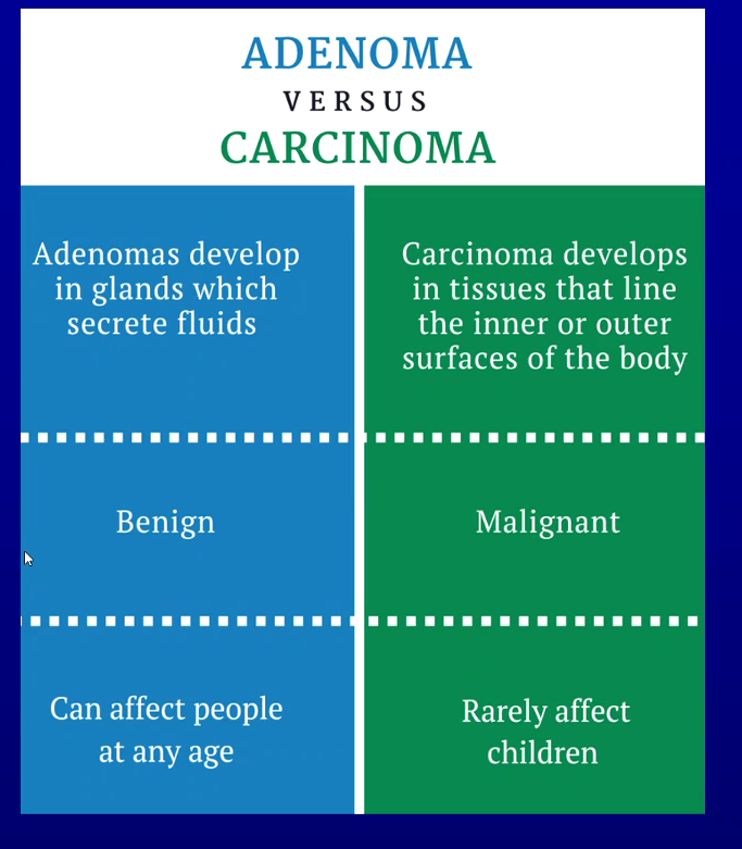 <p>Benign epithelial - adenoma - develop in glands which secrete fluids</p><p>Malignant epithelial - carcinoma - develop in tissues that line inner or outer surfaces of body</p>