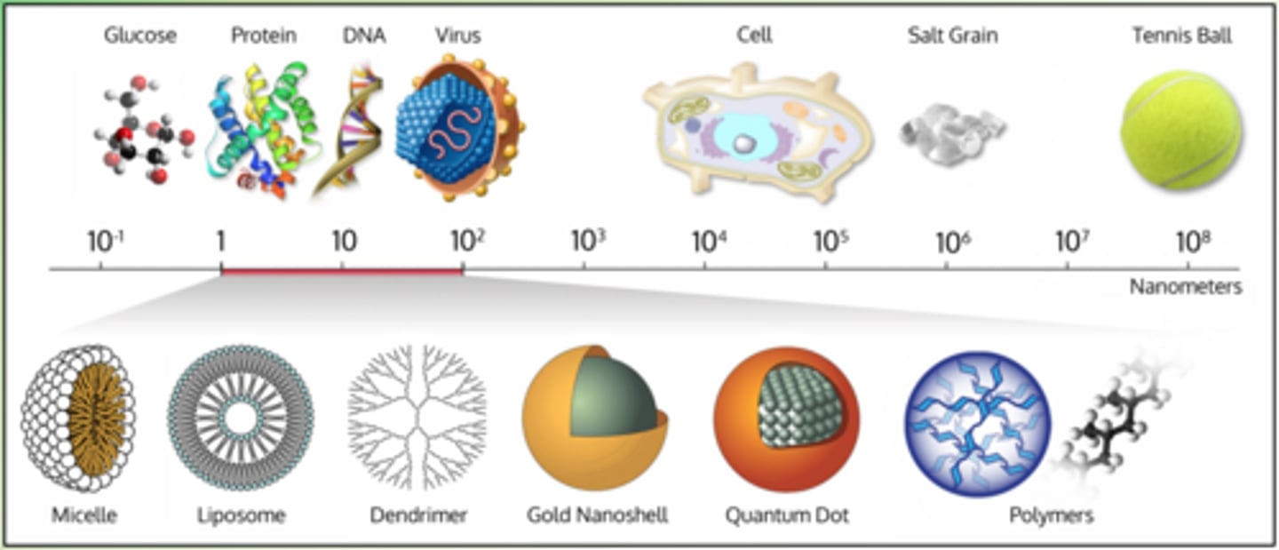 <p>particles that are between 1-100 nanometers</p>