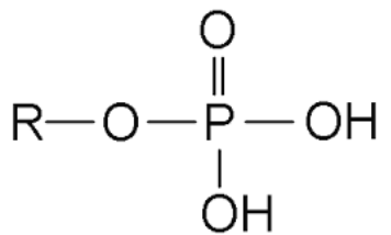 <p><span style="background-color: transparent;"><span>R–PO₄³⁻</span></span></p>