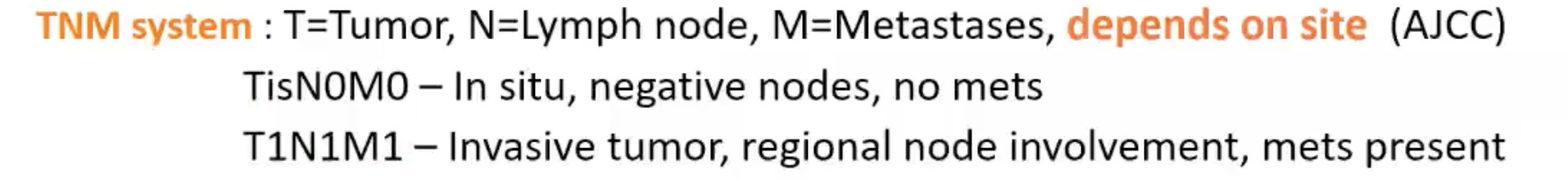 <p>T - tumor</p><p>N - lymph node</p><p>M - metastases</p><p><strong>DEPENDS ON SITE</strong></p>