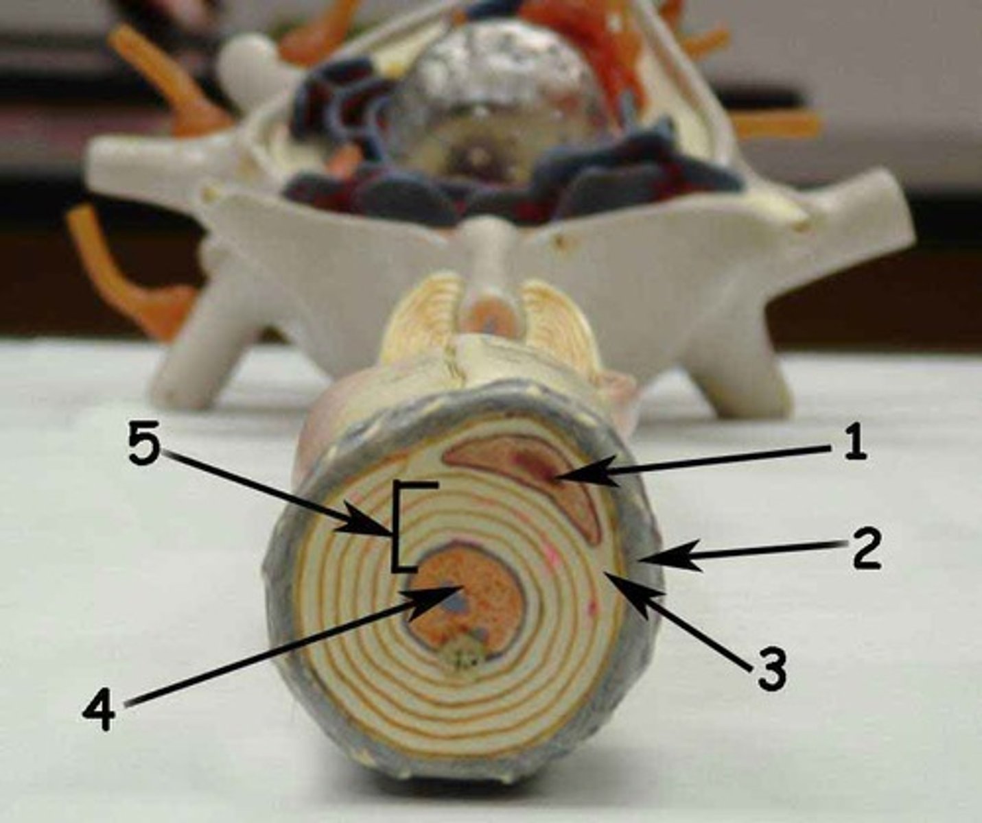 <p>2</p>