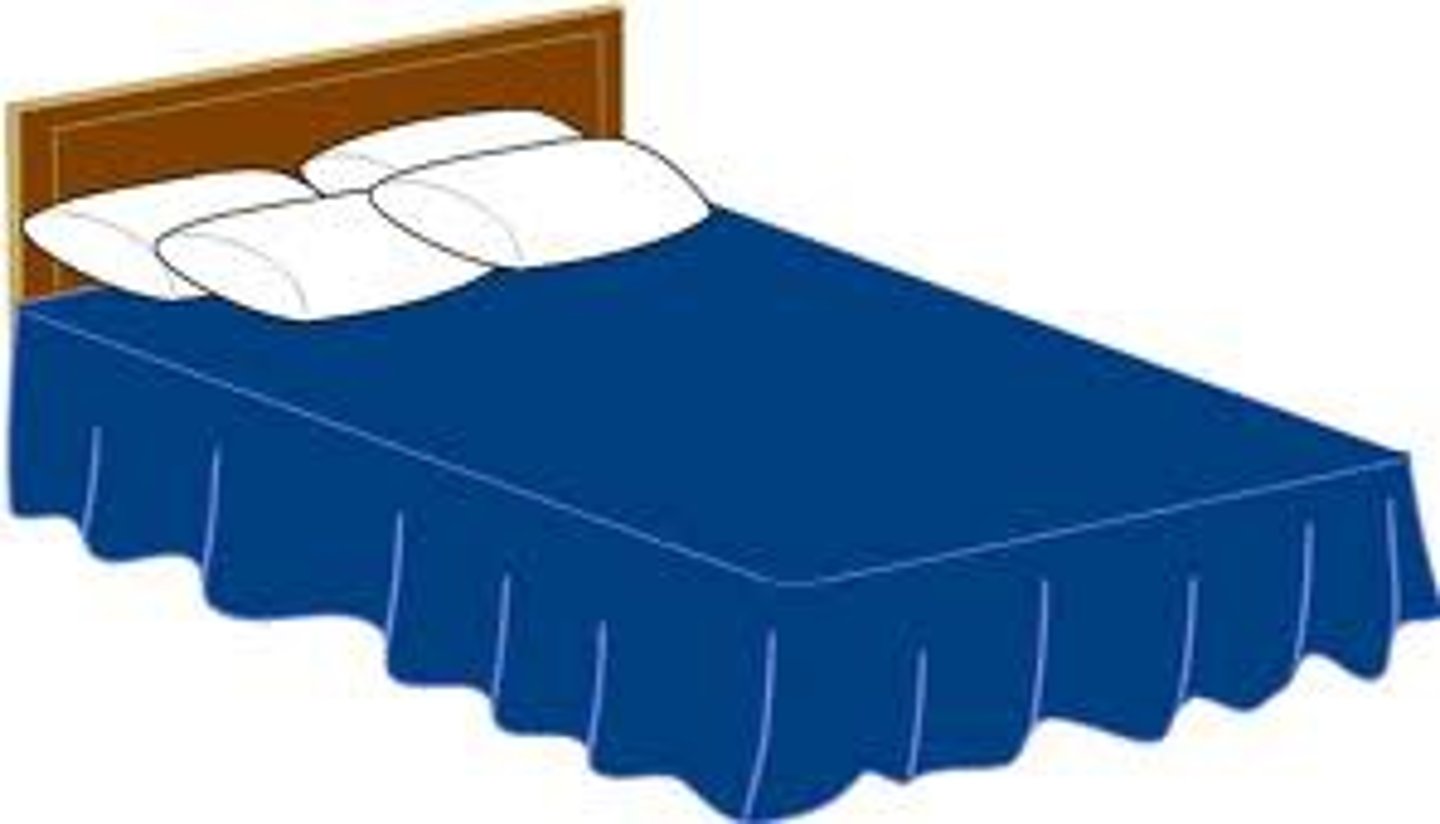 <p>un lugar para dormir en el hotel (bed)</p>