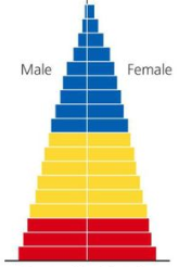 <p>Population growth of a moderate pyramid (age structure diagram)?</p>