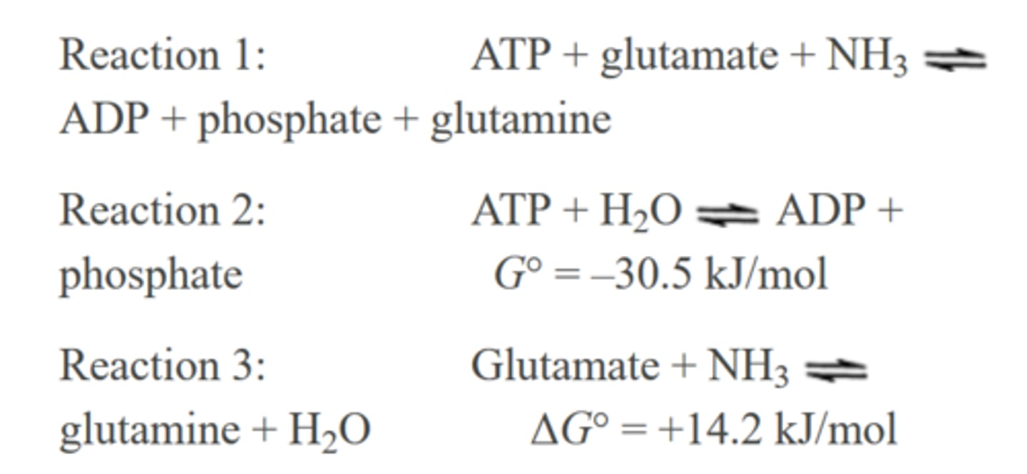 <p>Which of the following is true for Reaction 2, once it is allowed sufficient time to achieve equilibrium?</p><p>A. ΔG &lt; ΔG°</p><p>B. ΔG = ΔG°</p><p>C. ΔG &gt; ΔG°</p><p>D. ΔG = RT</p>