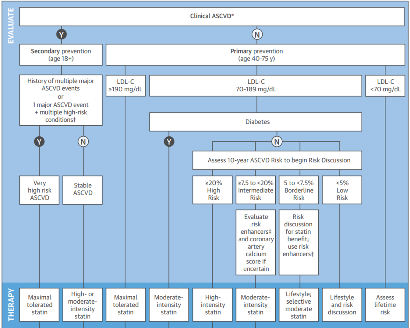 <p>primary treatment algorithm (she will give this)</p>