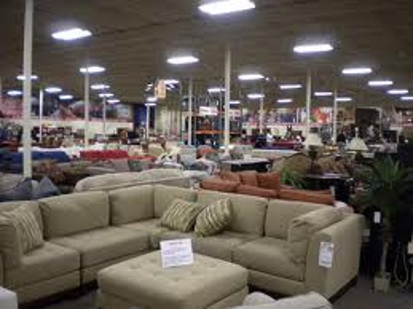 <p>the furniture store</p>